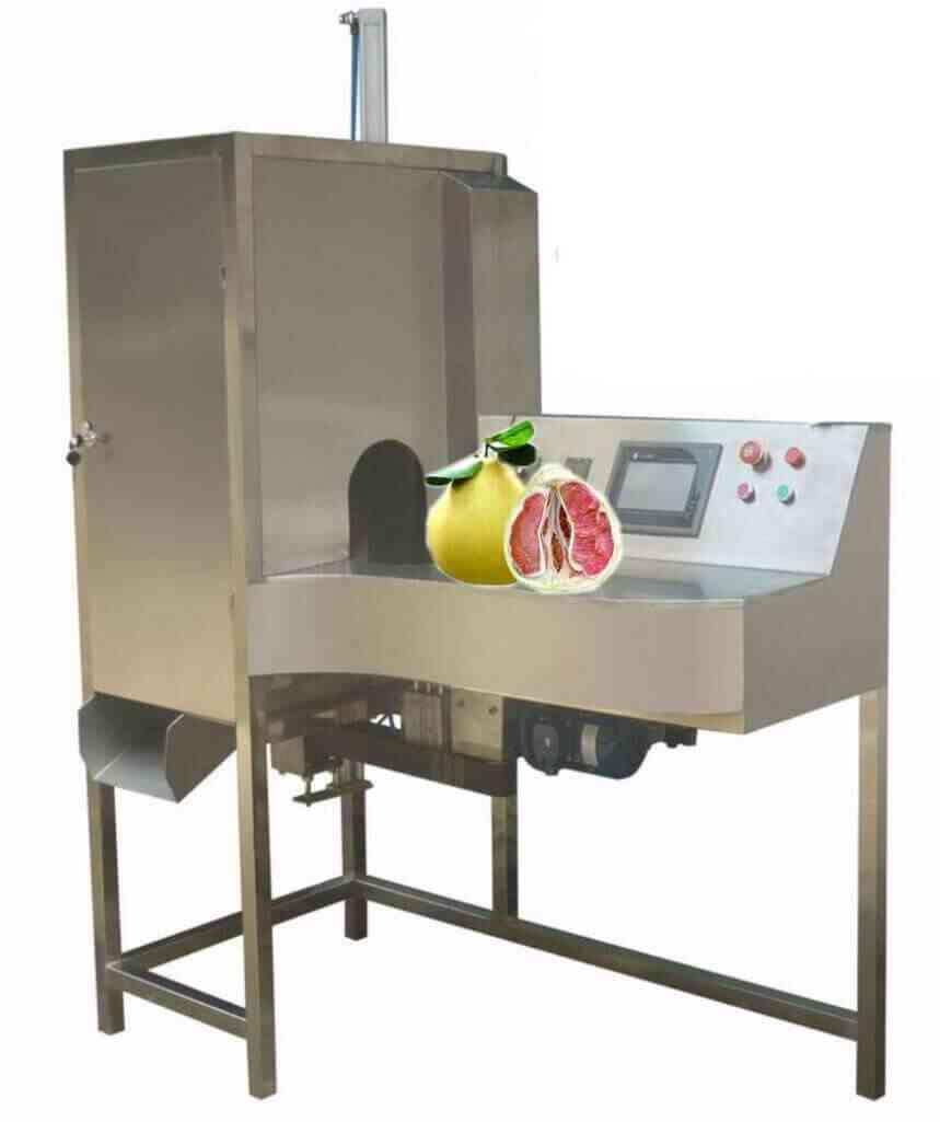 Fruit peeling machine